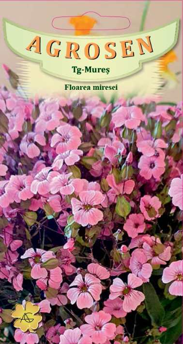 Floarea miresei  roz