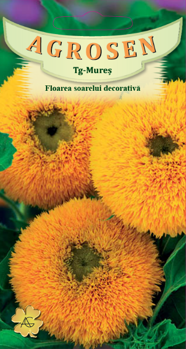 Floarea soarelui decorativă