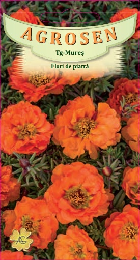 Flori de piatră portocalii
