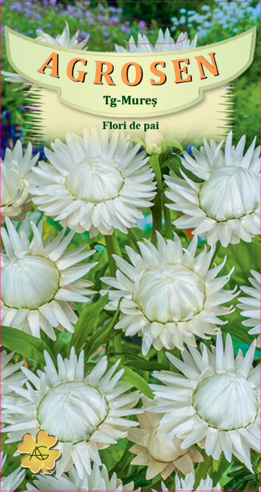 Flori de pai albe