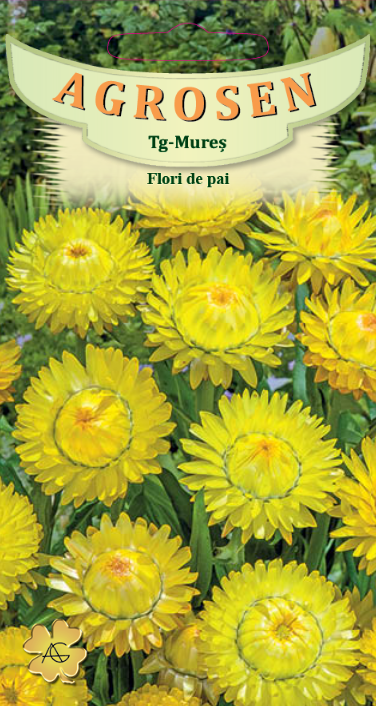 Flori de pai galbene