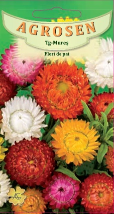 Flori de pai - mix