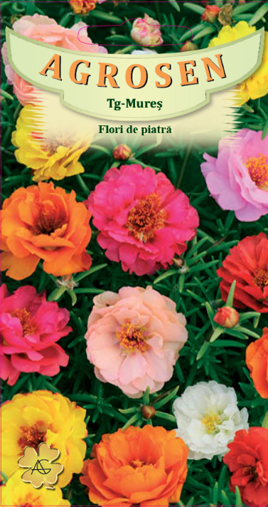 Flori de piatră - mix