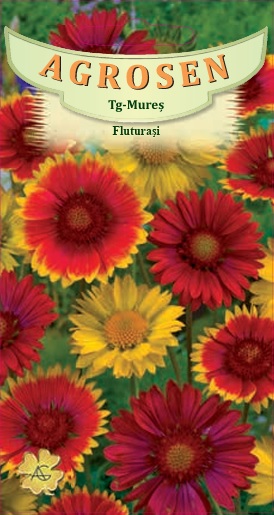 Fluturași - mix