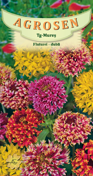 Fluturei - dubli
