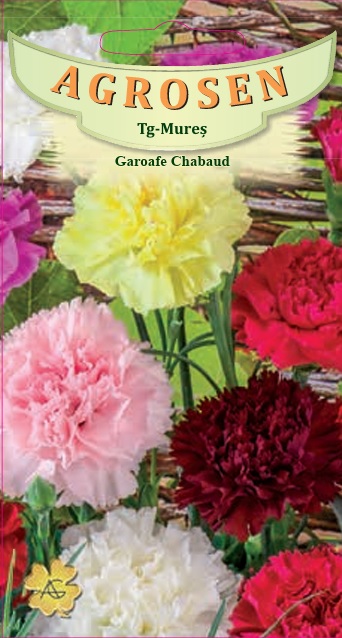 Garoafe Chabaud - mix