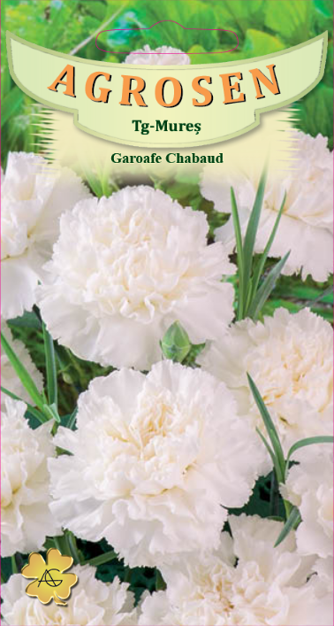 Garoafe Chabaud Albe