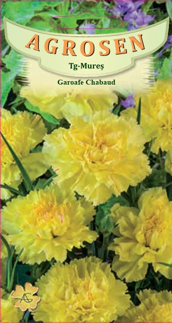 Garoafe Chabaud Galbene