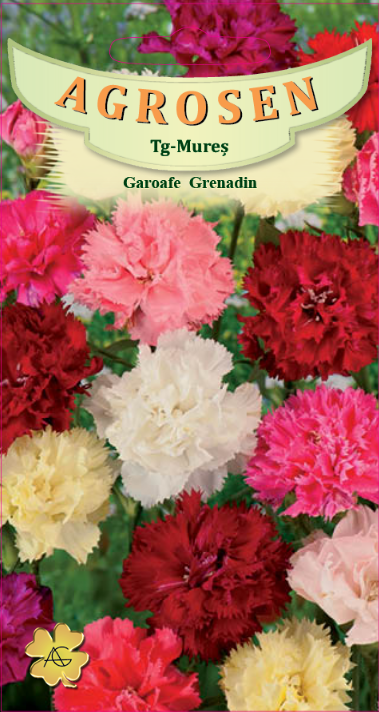 Garoafe Grenadin