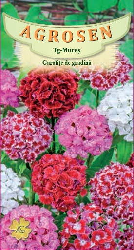 Garofiţe de grădină - mix