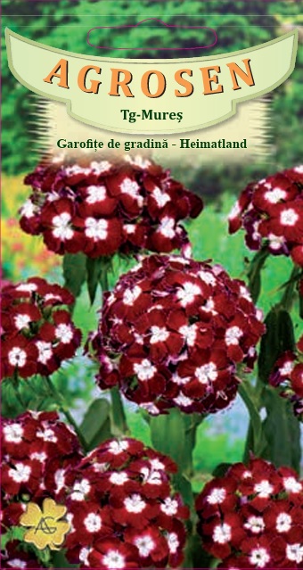 Garofiţe de grădină Heimatland