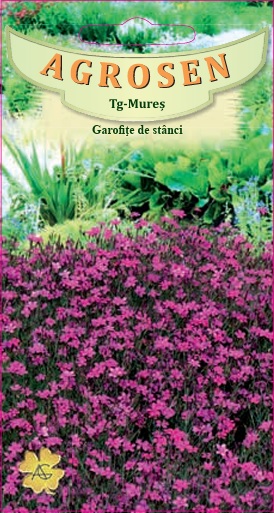 Garofițe de stânci