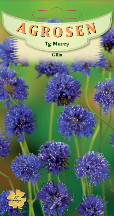 Gilia