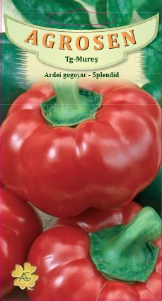 Ardei gogoşar - Splendid