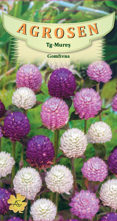 Gomfrena - mix