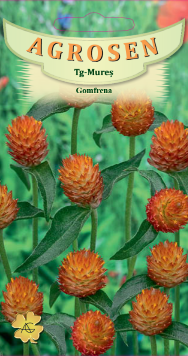 Gomfrena portocalie