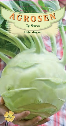 Gulie - Gigant