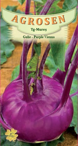 Gulie - Purple Vienna
