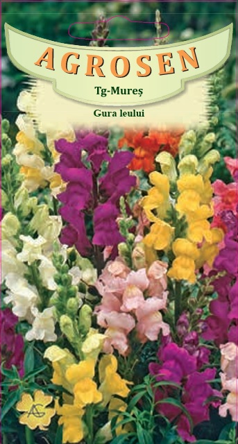 Gura leului - mix