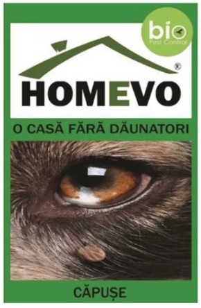 Capuse - HOMEVO