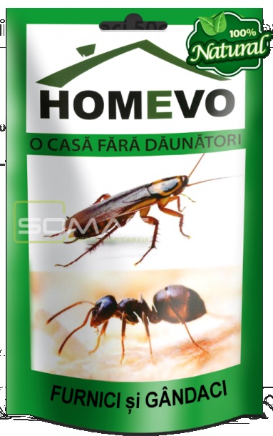 Furnici si Gandaci - HOMEVO