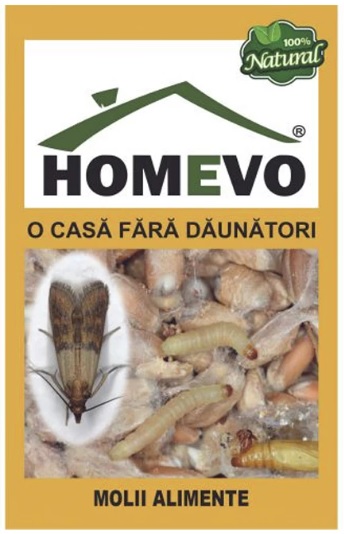 Molii Alimente - HOMEVO