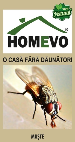 Muste - HOMEVO