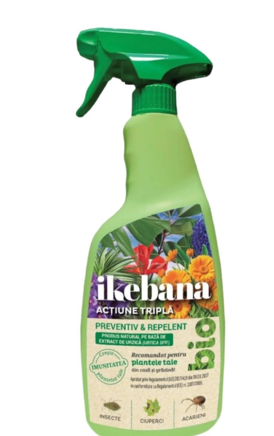 Ikebana Bio Ortigas