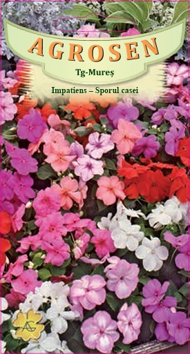 Impatiens - Sporul casei