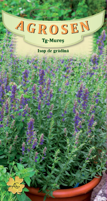 Isop de grădină