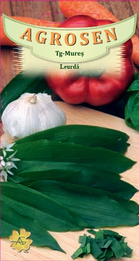 Leurdă