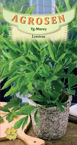 Leuştean