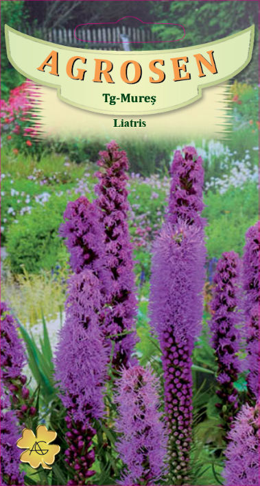 Liatris