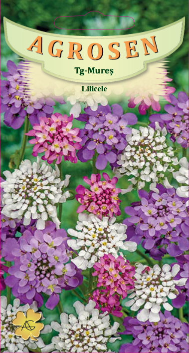 Lilicele