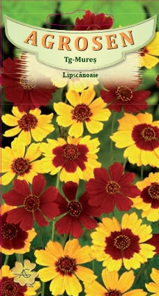 Lipscănoaie