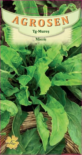 Măcriş