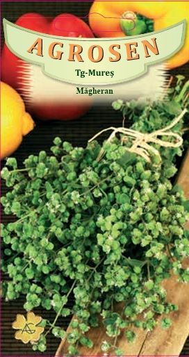 Măgheran