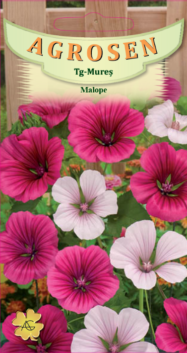 Malope