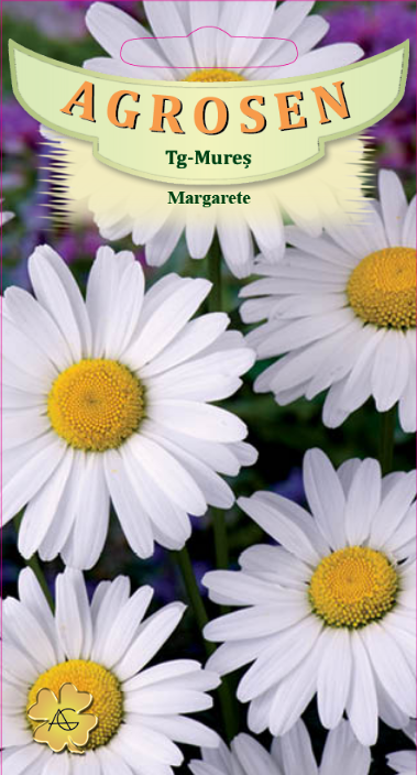 Margarete albe