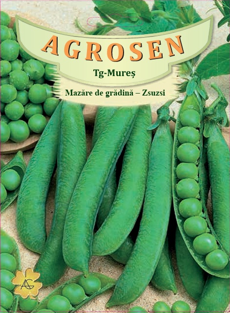 Mazăre de grădină-Zsuzsi