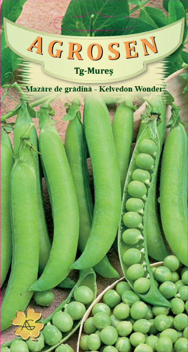 Mazăre de grădină - Kelvedon Wonder
