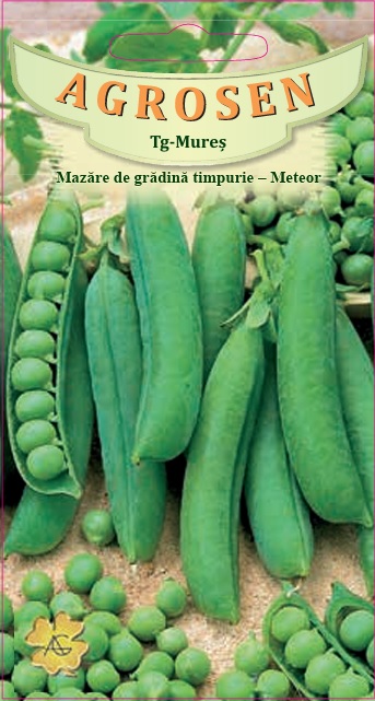 Mazăre de grădină timpurie - Meteor