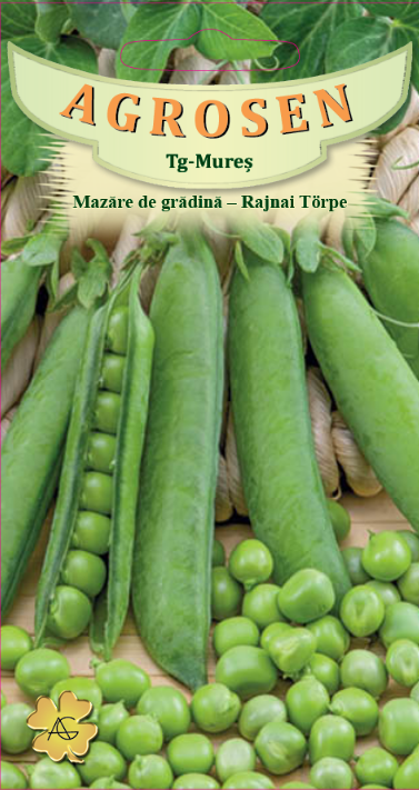 Mazăre de grădină - Rajnai Torpe