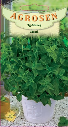 Mentă Piperita
