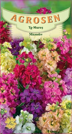 Mixandre - mix