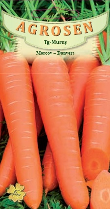 Morcov - Danvers