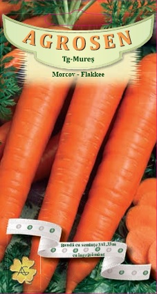 Banda-Morcov Flakkee