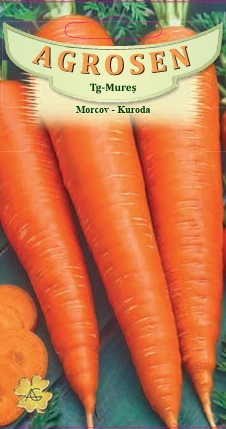 Morcov -Kuroda