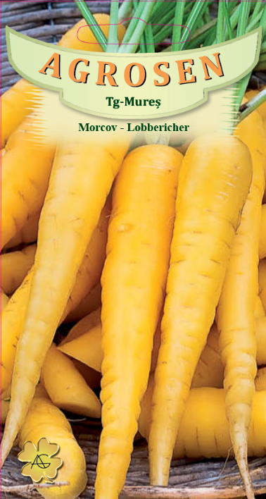 Morcov furajer -Lobbericher