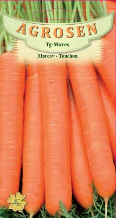 Morcov -Touchon